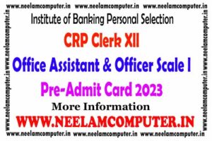 Read more about the article IBPS CRP Clerk XII Pre-Admit Card 2023