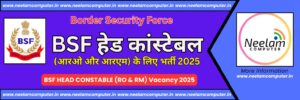 Read more about the article BSF HEAD CONSTABLE (RO & RM) Vacancy 2025